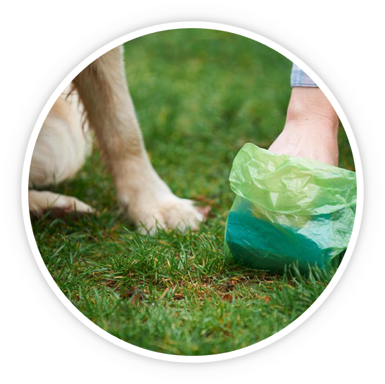 Pet Waste Removal North Bend Wa