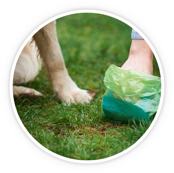 Pet Waste Removal Snoqualmie Wa